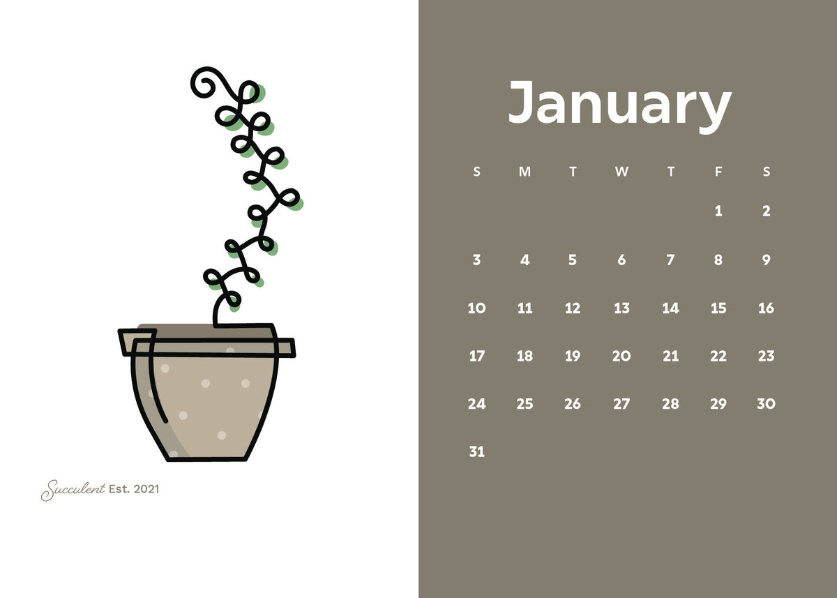 2027 Desk Calendar: Year Five (Pre-Order)
