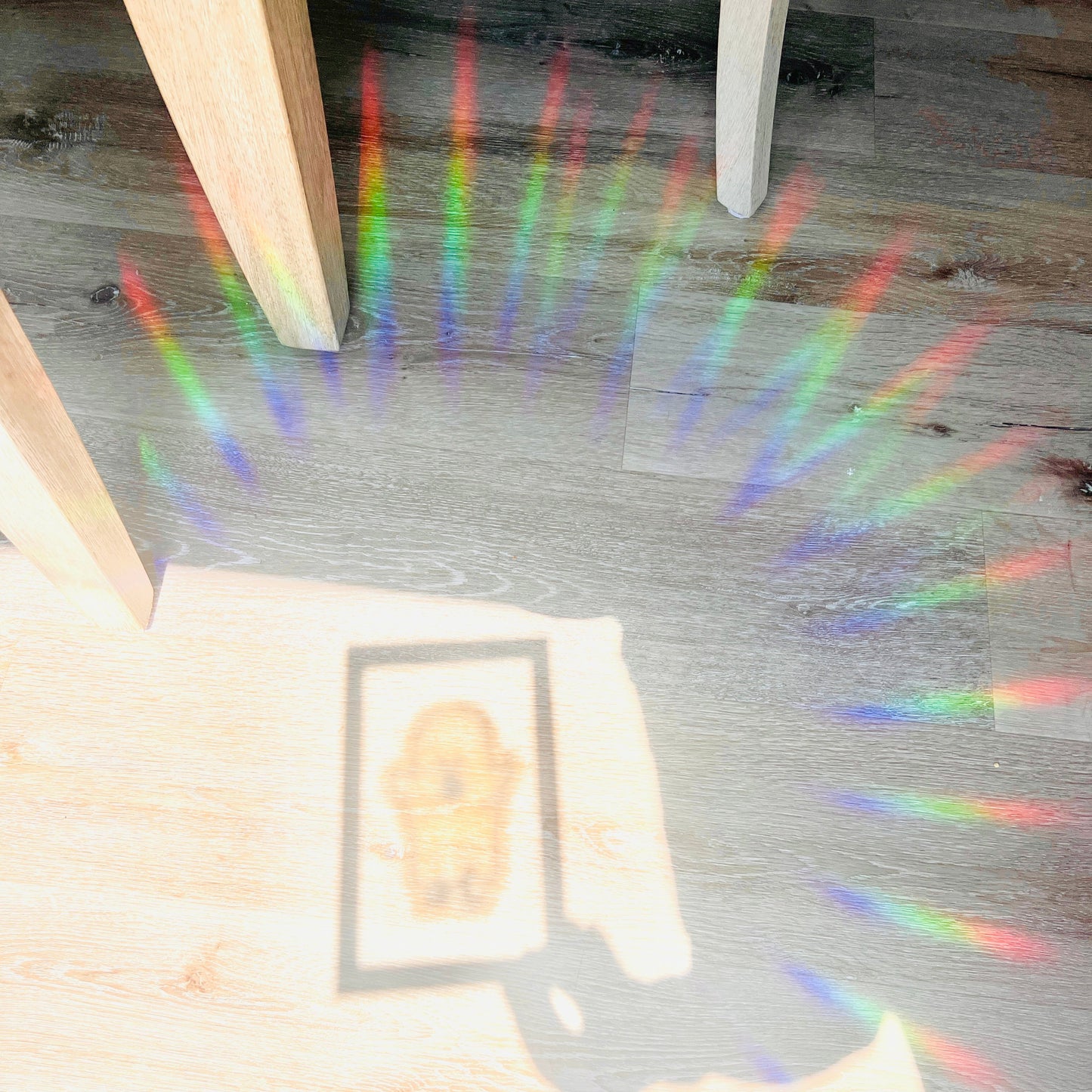 Colorful rainbow pattern on a wooden floor with a framed picture in the background.